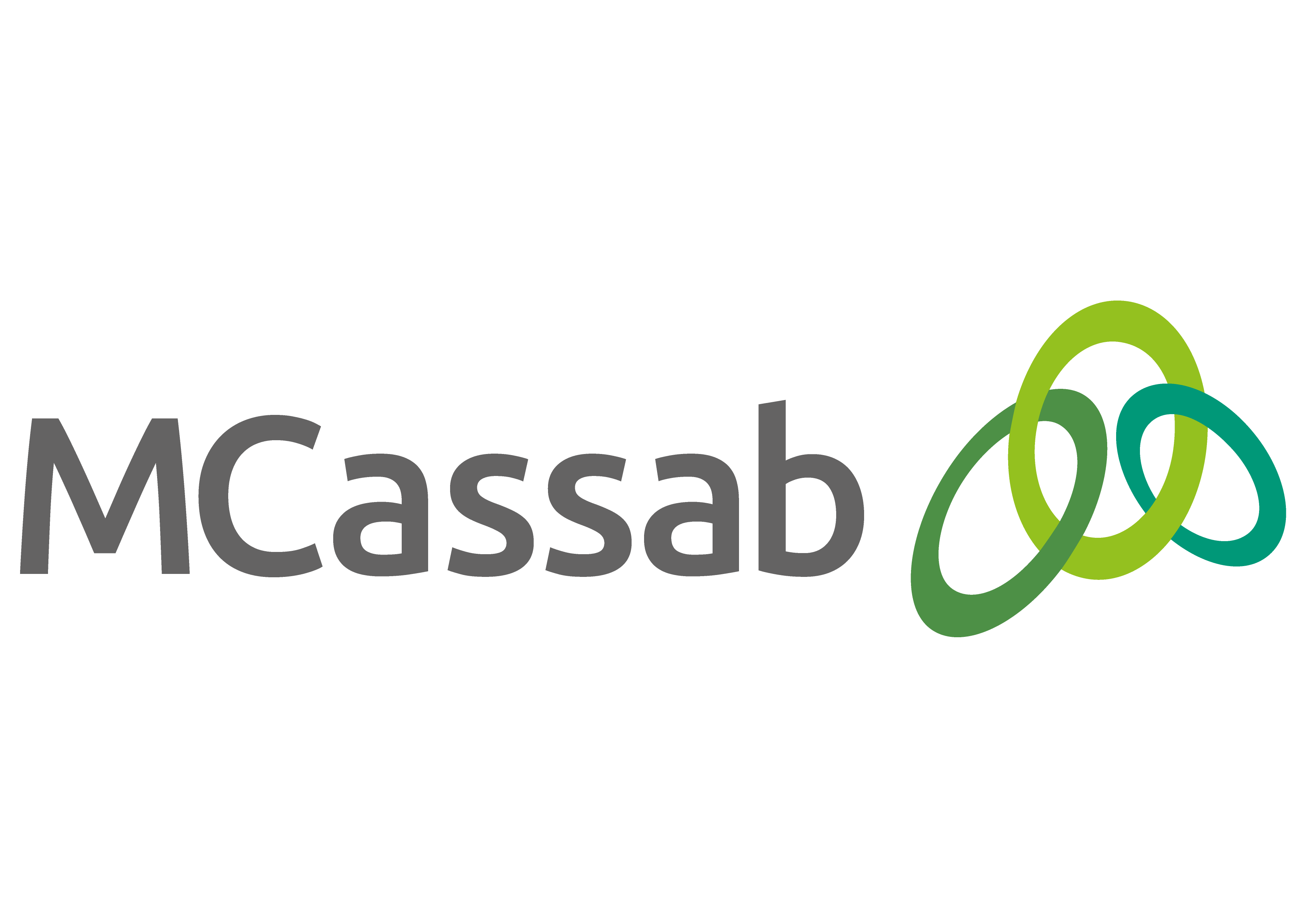 Logo de Lleser