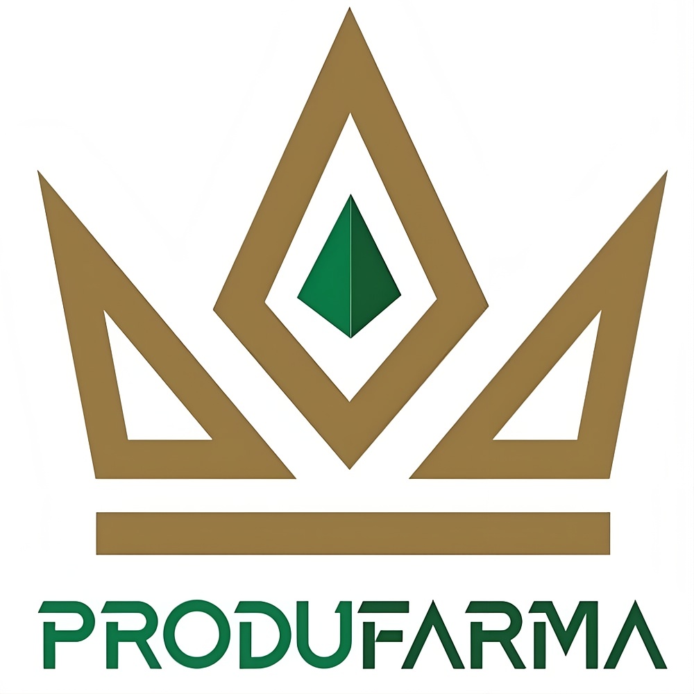 Logo de CODENULL