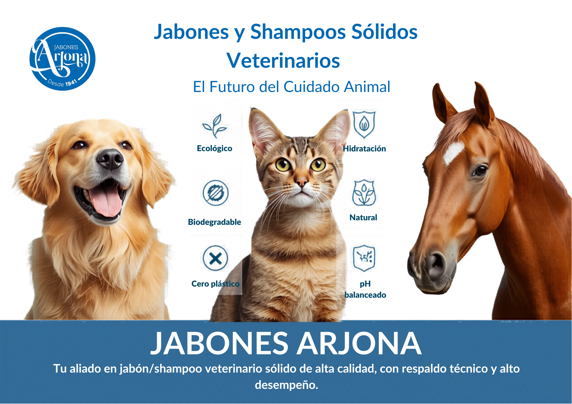 Imagen de Arjona SAS