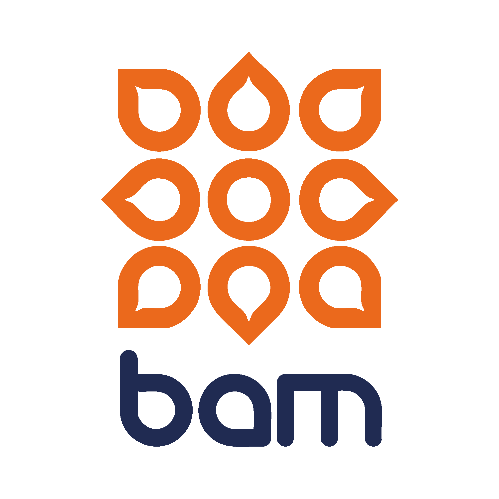 Logo de BAM